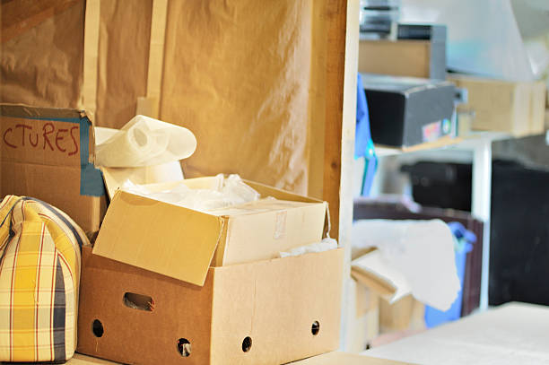 Best Office Junk Removal  in Castle Rock, CO